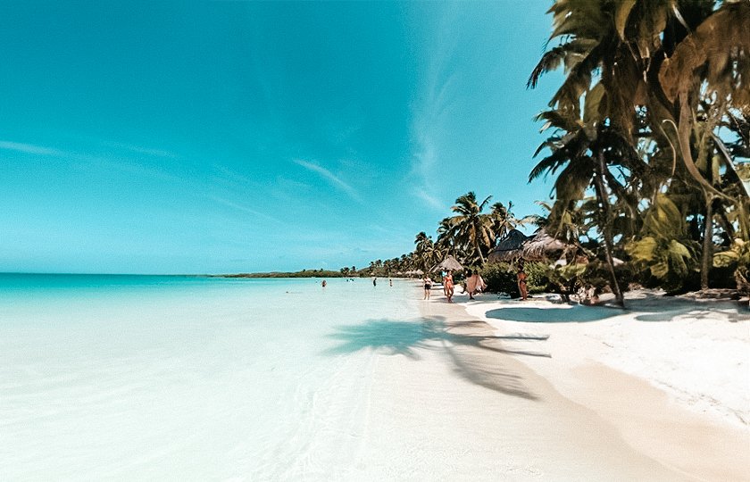 Tour Isla Contoy + Isla Mujeres