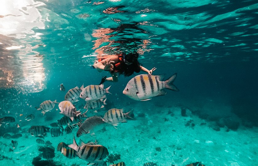Tour Isla Mujeres Catamaran