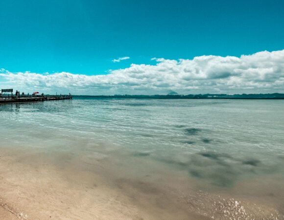 Tulum + Playa Paraíso + Madre Naturaleza + Quinta Avenida